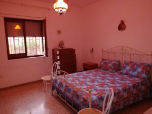 foto (6)